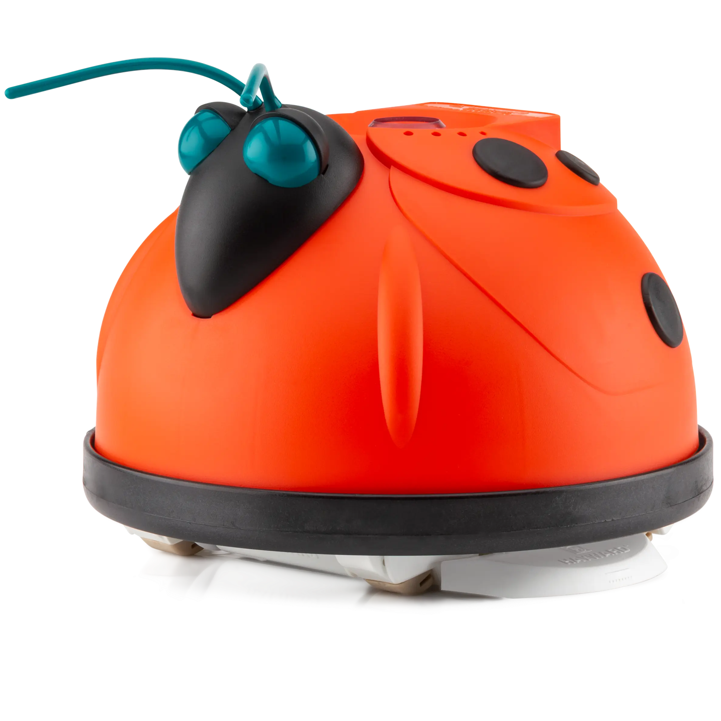 Orange and black pool vacuum on a white background