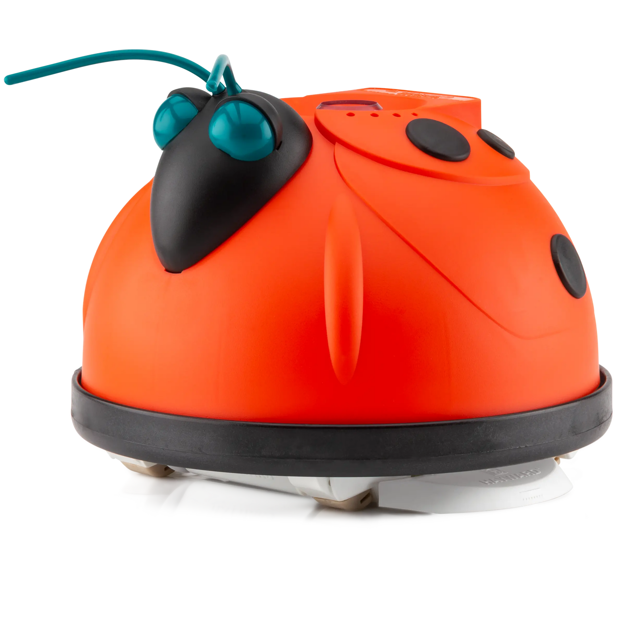 Orange and black pool vacuum on a white background